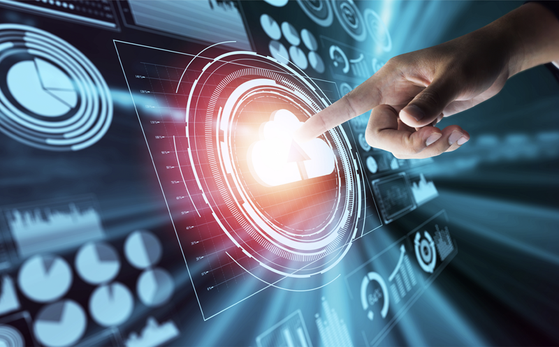 MadDog Technology